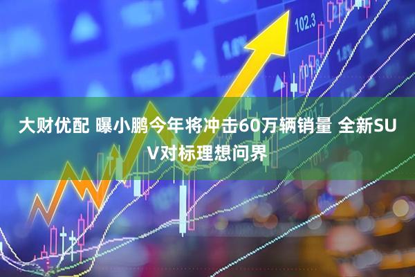 大财优配 曝小鹏今年将冲击60万辆销量 全新SUV对标理想问界